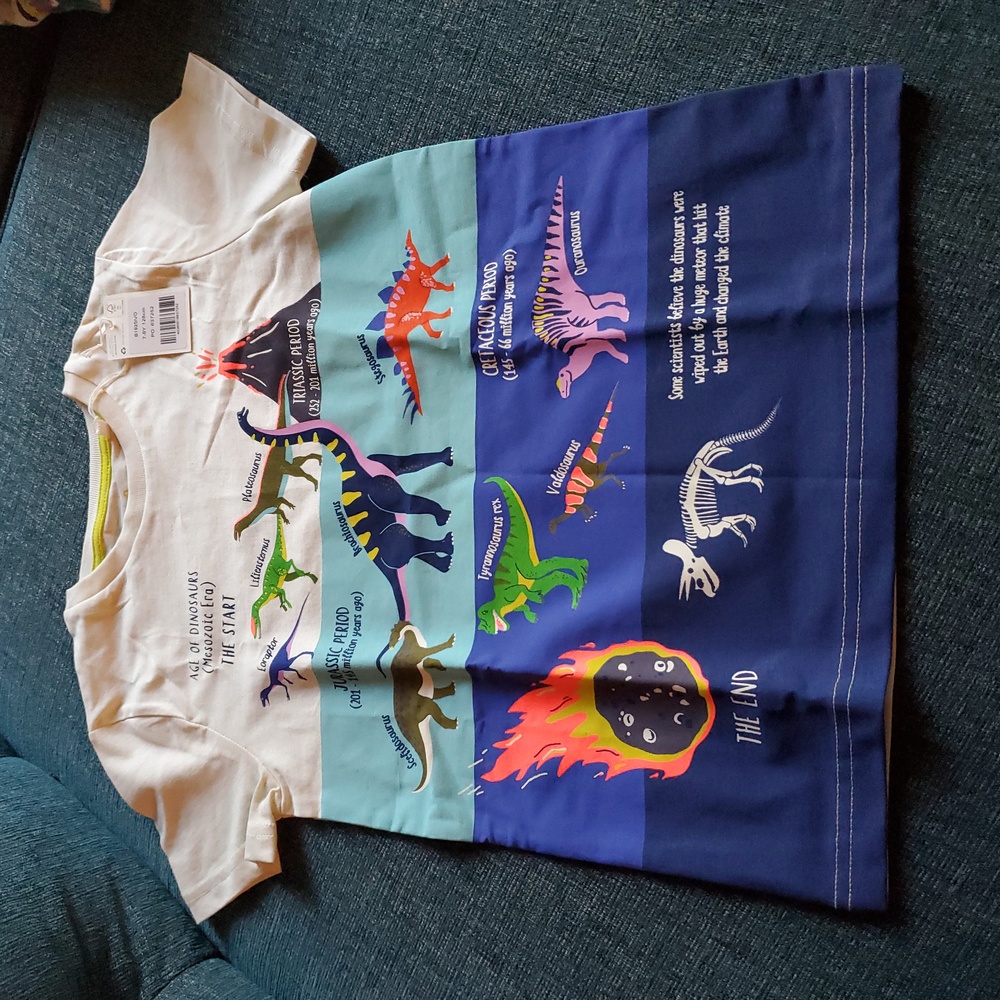 Mini Boden Dinosaur Tshirt